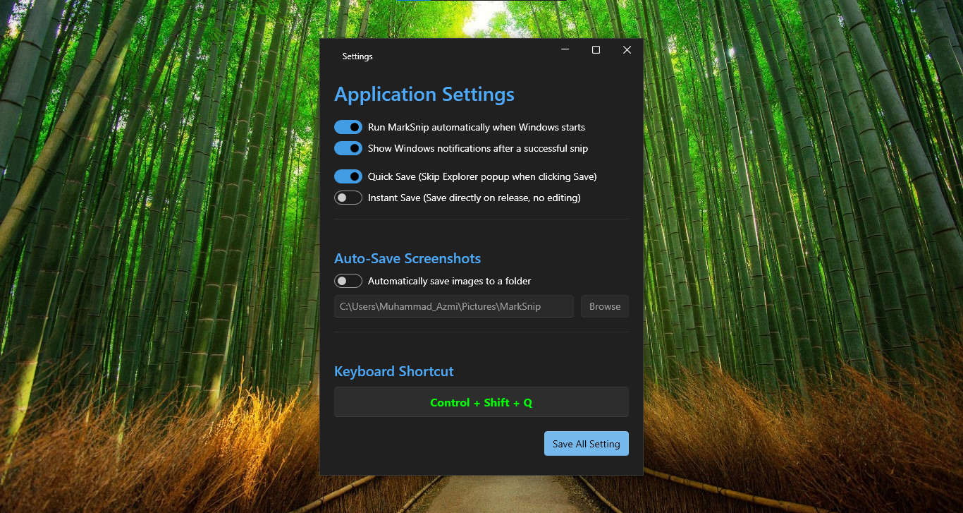 MarkSnip Settings
